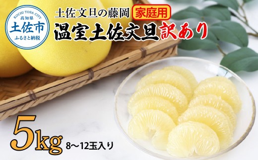 ＜土佐文旦の藤岡＞訳あり 温室土佐文旦 家庭用 5kg (8~12玉）文旦 ぶんたん ブンタン 土佐文旦 ハウス栽培 甘い 柑橘 フルーツ 果物 ご当地 産地直送 お取り寄せ 5キロ 自分用 土佐 高知