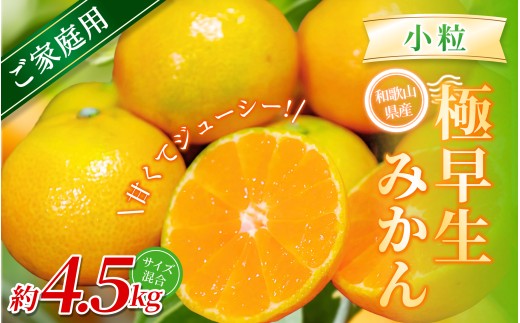 【家庭用】 森本農園の手選別 極早生小粒みかん 約4.5kg 和歌山県産 【北海道・沖縄・離島配送不可】【2025年10月上旬～下旬頃に順次発送】【mrmt052】