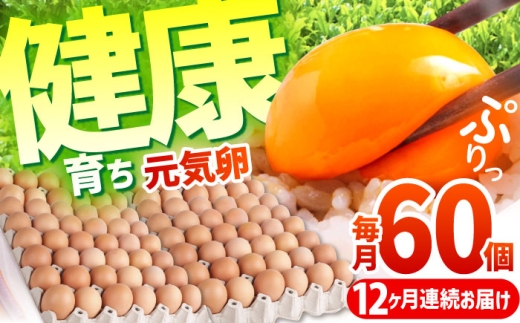 【全12回定期便】お茶と海藻で健康育ち 元気卵 720個（60個×12回） / たまご タマゴ 玉子 鶏卵 / 亀山市 / 藪本養鶏園 [AMBH011]