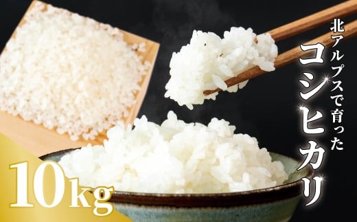 《令和7年産・新米》農家こだわりのコシヒカリ 10kg /長野県白馬村産 2025年産 米 コメ 白米  玄米  精米後発送 2014年特別最高金賞受賞 コンクール受賞 お米 ご飯 ごはん 送料無料【B0080657】 2328459 - 長野県白馬村