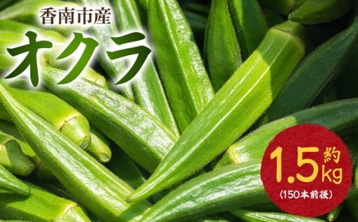 【2026年発送分】オクラ 1.5kg(150本前後) - オクラ おくら 野菜 やさい 新鮮 朝どれ 朝採れ 朝収穫 季節 旬 露地栽培 国産 香南市産 おきゃんぴー農園 高知県 香南市 冷蔵 on-0033 2221775 - 高知県香南市
