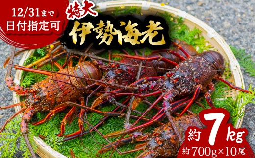 伊勢海老 特大 約7kg 約700g×10尾 伊勢えび 伊勢エビ いせえび イセエビ 海老 えび エビ 海鮮 海産物 海の幸 おせち 高級 国産 海鮮 ギフト