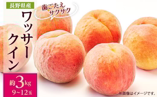 ＜2026年発送＞フルーツ王国　長野県信州直送　ワッサークイン　約3kg(9～12玉)_ 桃 もも 果物 フルーツ くだもの ワッサークイン ネクタリン 硬い 贈答 ギフト プレゼント 信州 長野 送料無料 人気 産地直送 おすすめ 【1530502】 1418592 - 長野県中野市