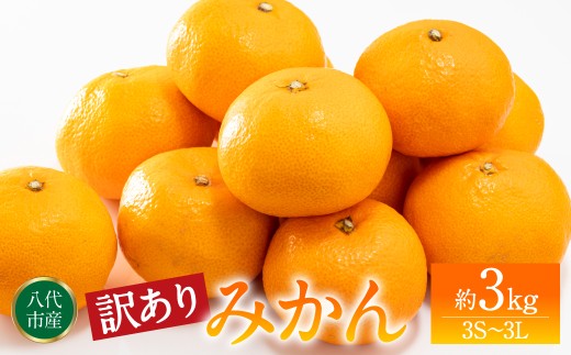 【訳あり】みかん 家庭用 (3S～3Lサイズ) 約3kg 八代市産 熊本 ご家庭用 蜜柑 ミカン 柑橘 くだもの 果物 フルーツ デザート