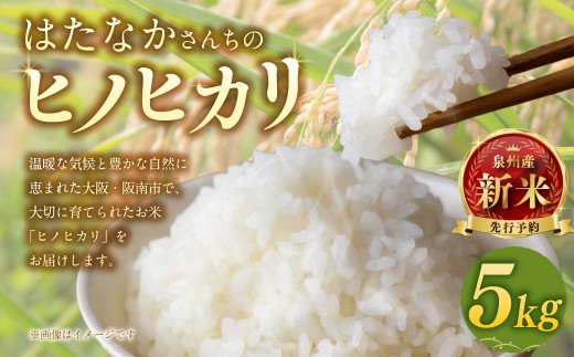 〈令和7年産〉 【はたなかさんち】 泉州産 ヒノヒカリ 5kg×1袋  【2025年11月上旬ー12月下旬発送予定】 お米 米 白米 ごはん 国産