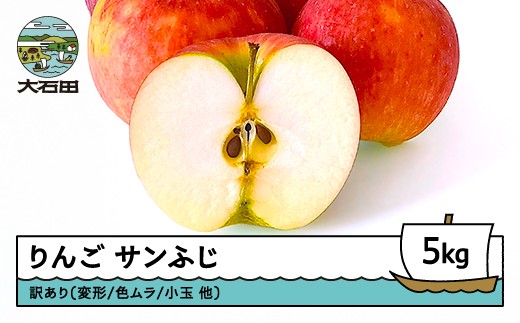 りんご サンふじ 訳あり 約5kg 2025年産 令和7年産 フルーツ 果物 山形県 ns-riwax5 2309851 - 山形県大石田町