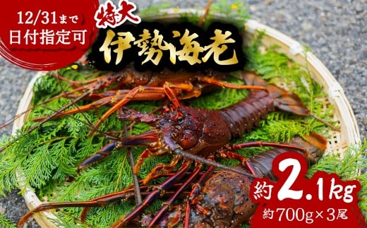 伊勢海老 特大 約2.1kg 約700g×3尾 伊勢えび 伊勢エビ いせえび イセエビ 海老 えび エビ 海鮮 海産物 海の幸 おせち 高級 国産 海鮮 ギフト
