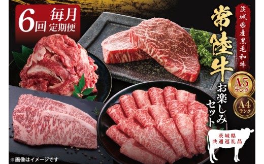 【6回定期便】最高級A4.5ランク常陸牛 お楽しみセット【茨城県共通返礼品】｜ブランド牛 銘柄牛 和牛 黒毛和牛 国産 A5・A4ランク 等級 お肉 牛肉 ロース もも 切り落とし ステーキ 定期 6ヶ月 毎月 茨城県 大子町（DD005）