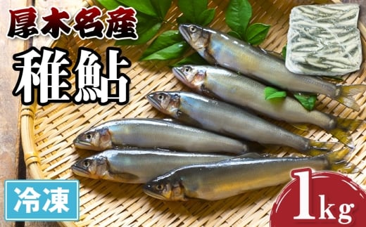 No.1117 厚木名産 冷凍稚鮎 1kg / アユ あゆ 川魚 稚魚 名物 相模の鮎 かながわブランド 特産 天ぷら 唐揚げ 大容量 神奈川県 2324434 - 神奈川県厚木市