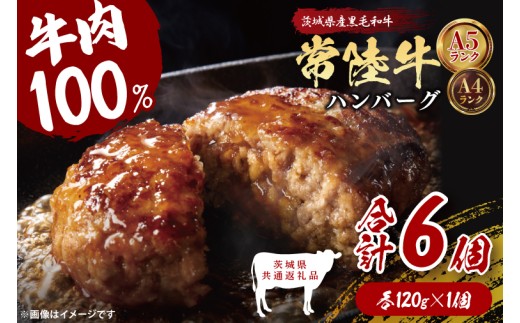 【茨城県共通返礼品】常陸牛100％ ハンバーグ 120g×6個｜ブランド牛 銘柄牛 和牛 黒毛和牛 国産 A5・A4ランク 等級 お肉 牛肉 真空 小分け 個包装 茨城県 大子町（DD020）