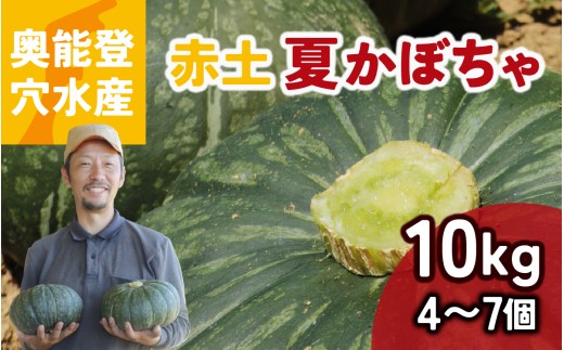 【先行予約】奥能登 穴水産 「赤土 夏かぼちゃ」約10kg（約4個～7個）【2026年8月頃より順次発送】| 奥能登 能登半島 南瓜 カボチャ 国産 甘い 野菜 数量限定 旬 煮物 スイーツ お菓子 国産 2323473 - 石川県穴水町