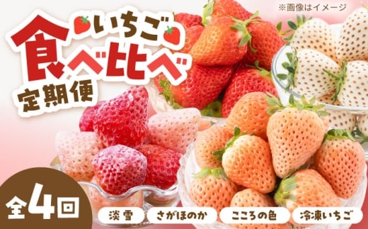 【4回定期便】岸川農園の自慢の赤白いちご（淡雪・さがほのか・こころの色・冷凍いちご） 【岸川農園】 [IAP046]