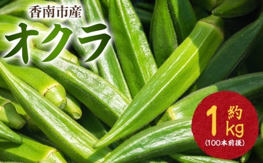 【2026年発送分】オクラ1kg(100本前後) 冷蔵 - おくら オクラ 野菜 やさい 夏野菜 新鮮 朝どれ 朝採れ 朝収穫 季節 旬 露地栽培 国産 香南市産 おきゃんぴー農園 高知県 香南市 冷蔵 on-0032 2221774 - 高知県香南市