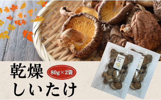 大分県産 しいたけ 津久見で育てた肉厚乾燥しいたけ 80g×2袋　|　津久見市 干し椎茸 菌床しいたけ きのこ 国産 産地直送
