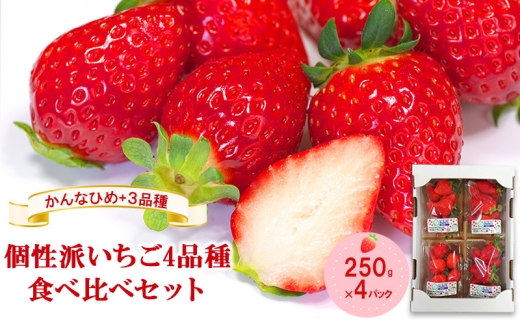 「かんなひめ」+3品種　個性派いちご4品種食べ比べセット　250g×4パック　『とくしま安２（安全・安心）農産物』優秀認定取得