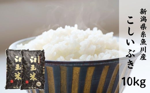 【令和7年産新米】新潟県産こしいぶき『臼玉米』10kg 2025年産 木島米穀店【新潟県 糸魚川市 米 お米 白米 こめ コメ コシイブキ ご飯 ライス ふるさと納税米 お弁当 おにぎり 10キロ 精米 食品 新潟県 糸魚川産 2025年産 食品 人気 おすすめ】