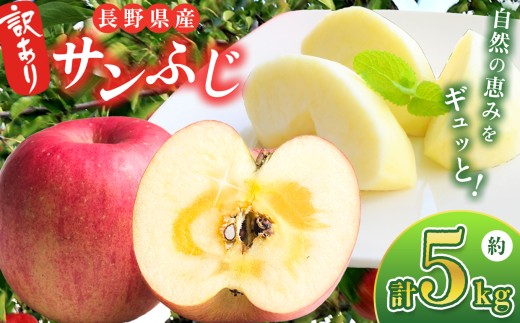  【2025年先行予約】 訳あり 信州産 サンふじ 5kg ｜ ベジサコ リンゴ りんご 林檎 果物 フルーツ 果実 果汁 サンふじ さんふじ わけあり 訳アリ 訳あり 長野県 松川村 信州