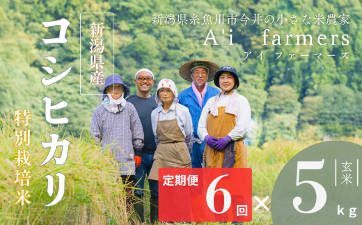 【令和7年産】米 コシヒカリ 玄米 5kg  『6回定期便』 新潟県 糸魚川市産 減農薬 減化学肥料米 安心 安全 美味しいお米 新潟米 今井産 アイファーマーズ 今摺り米 精米【こしひかり おにぎり お弁当 におすすめ お米 おこめ コメ ご飯 ライス ふるさと納税米 ブランド米 令和7年産 2025年 5キロ × 6回 】