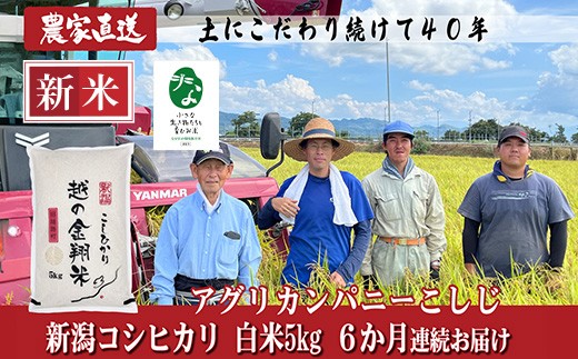 J8-7C056【6ヶ月連続お届け】新潟県長岡産コシヒカリ5kg【「小さな生き物たちと育むお米」認証品】