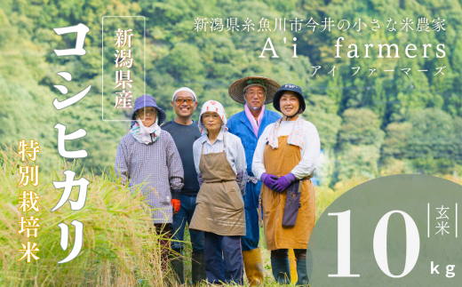 【令和7年産】米 コシヒカリ 玄米 10kg 新潟県 糸魚川市産 減農薬 減化学肥料米 安心 安全 美味しいお米 新潟米 今井産 アイファーマーズ 今摺り米 精米【こしひかり おにぎり お弁当 におすすめ お米 おこめ コメ ご飯 ライス ふるさと納税米 ブランド米 令和7年産 2025年 10キロ】