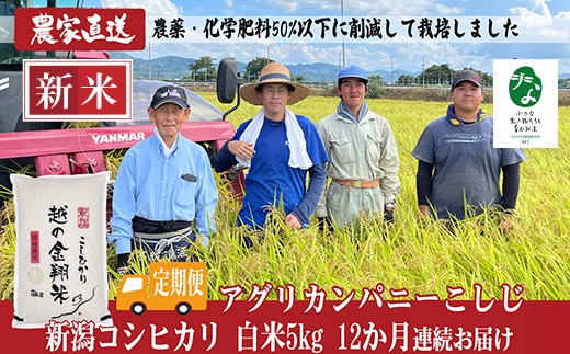 J8-7C05Z【12ヶ月連続お届け】新潟県長岡産コシヒカリ5kg【「小さな生き物たちと育むお米」認証品】