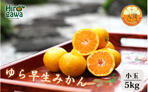 ▼由良早生みかん 5kg (小玉)※11月上旬~順次発送予定 【tkn004-s-5】 2324903 - 和歌山県広川町