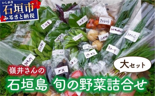 嶺井さんの石垣島旬の野菜詰合せ（大セット）OI-23 2319337 - 沖縄県石垣市