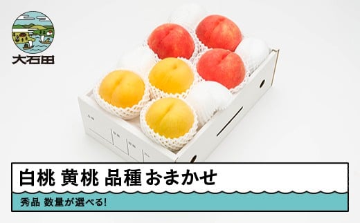 【先行予約】 もも 白桃 黄桃 有袋黄桃 秀品 詰め合わせ 品種おまかせ 数量選べる 化粧箱入りフルーツ 果物 アソート 令和8年産 2026年産 山形県産 ns-mohot