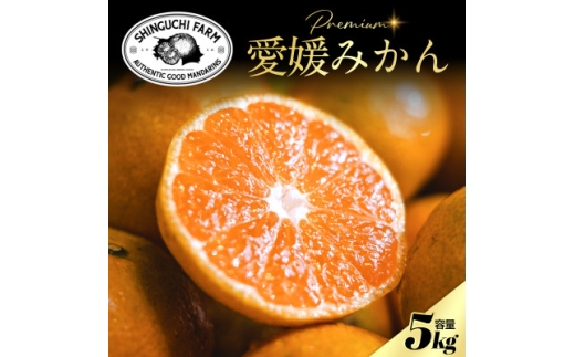 老舗農家が見極めたプレミアム＜愛媛みかん5kg＞＜愛媛県川上産＞＜B70-90＞【1671013】 2305742 - 愛媛県八幡浜市
