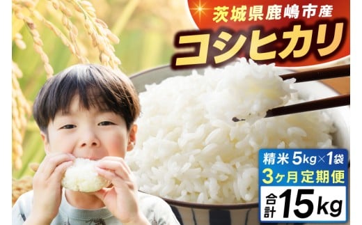 【3ヶ月定期便】★新米 令和7年★ 米 精米 白米 5kg (総計 15kg)「こしひかり」先行予約 鹿嶋市産【令和7年産 コシヒカリ お米 コメ ごはん ライス ブランド米 茨城県 鹿嶋市】(KEJ-4) 2187024 - 茨城県鹿嶋市