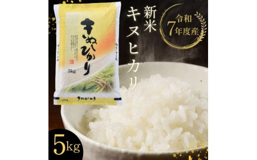 【令和7年産 新米】京都丹波・亀岡産 キヌヒカリ 5kg 米 白米 ※精米したてをお届け《契約栽培米 米・食味鑑定士厳選 きぬひかり 京都丹波産 数量限定 訳あり 簡易包装》※北海道・沖縄・離島への配送不可
