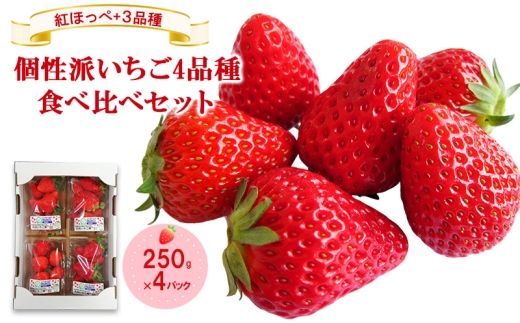 「紅ほっぺ」+3品種　個性派いちご4品種食べ比べセット　250g×4パック　『とくしま安２（安全・安心）農産物』優秀認定取得