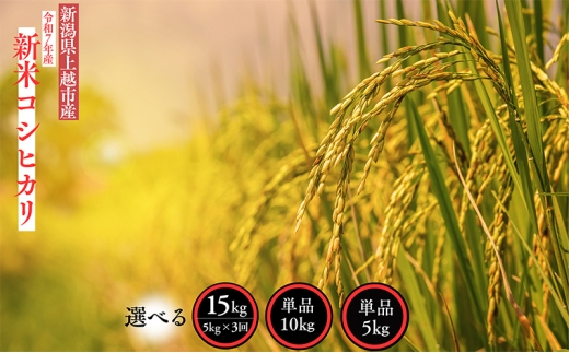 新米 令和7年産 新潟県 上越市産 コシヒカリ 10kg 10キロ 精米 10月下旬より順次出荷 米 お米 白米