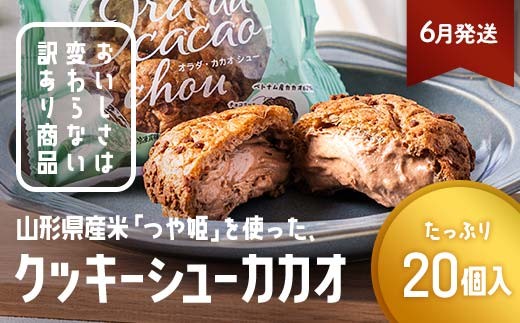 ≪2026年6月配送≫ 訳あり クッキーシュークリーム カカオ味 20個 ご家庭用 お菓子 洋菓子 小分け スイーツ F2Y-6423