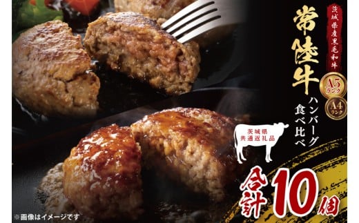 【茨城県共通返礼品】常陸牛100％ vs 常陸牛入りハンバーグの食べ比べセット （計10個入り）常陸牛使用｜ブランド牛 銘柄牛 和牛 黒毛和牛 国産 A5・A4ランク 等級 お肉 牛肉 真空 小分け 個包装 茨城県 大子町（DD021）