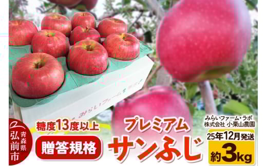 【25年12月発送】りんご 糖度13度以上【贈答規格】プレミアム サンふじ 約3kg