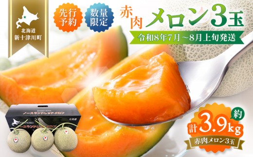 【先行予約】【数量限定】  赤肉メロン3玉【令和８年７月～８月上旬発送】| メロン 北海道 赤玉 セット詰め合わせ オンライン申請 オンライン ワンストップ マイページ デザート 果物 フルーツ 赤肉メロン 赤肉 ふるさと納税 北海道 新十津川 新十津川町【12032】 2318909 - 北海道新十津川町