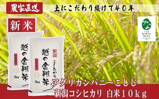 J8-7C101【越の金翔米】新潟県長岡産コシヒカリ10kg【「小さな生き物たちと育むお米」認証品】