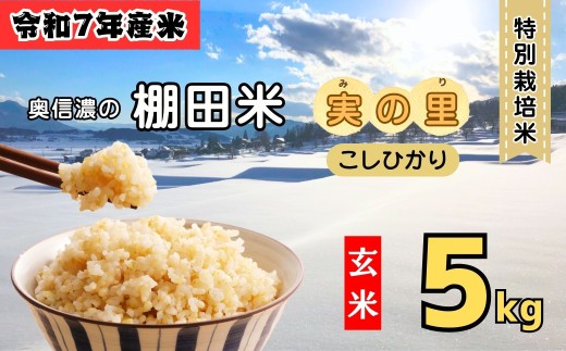 <令和７年産 新米> 特別栽培米 『奥信濃の棚田米 実の里』 こしひかり 玄米 5㎏ (7-21B) お米 コメ 白米 ご飯 長野県 信州 飯山市 新米 令和7年 コシヒカリ