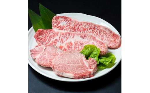 【ふるさと納税】おおいた和牛 ロース ヒレ ステーキ セット (合計700g・ロース200g×2枚・ヒレ150g×2枚)ステーキ 国産 4等級 冷凍 和牛 牛肉 詰め合わせ 大分県 佐伯市【opae012】【ミートクレスト】