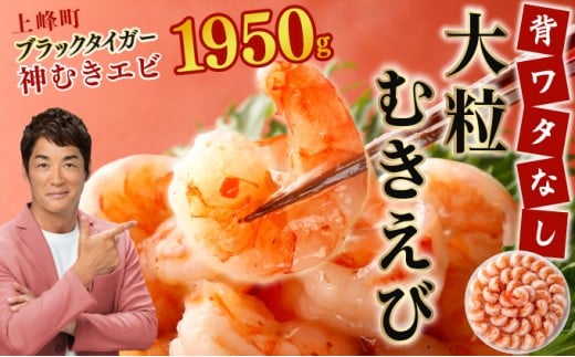 【数量限定】神むきエビ（大粒ブラックタイガー1.95kg）