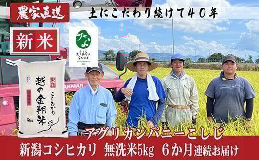 J8-7MC056【6ヶ月連続お届け】新潟県長岡産コシヒカリ無洗米5kg【「小さな生き物たちと育むお米」認証品】