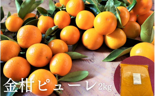 串本町 特産の金柑を使った きんかんピューレ 2kg【bhrp002】 2323370 - 和歌山県串本町