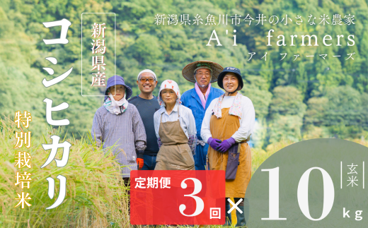 【令和7年産】米 コシヒカリ 玄米 10kg  『3回定期便』 新潟県 糸魚川市産 減農薬 減化学肥料米 安心 安全 美味しいお米 新潟米 今井産 アイファーマーズ 今摺り米 精米【こしひかり おにぎり お弁当 におすすめ お米 おこめ コメ ご飯 ライス ふるさと納税米 ブランド米 令和7年産 2025年 10キロ × 3回 】