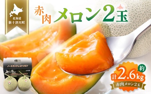 【先行予約】【数量限定】 赤肉メロン２玉【令和８年７月～８月上旬発送】| メロン 北海道 赤玉 セット詰め合わせ オンライン申請 オンライン ワンストップ マイページ デザート 果物 フルーツ 赤肉メロン 赤肉 ふるさと納税 北海道 新十津川 新十津川町【12031】 2271402 - 北海道新十津川町
