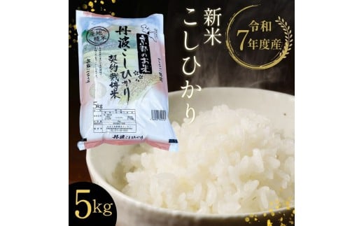 【令和7年産 新米】京都丹波・亀岡産 こしひかり 5kg 米 白米 ※精米したてをお届け《契約栽培米 米・食味鑑定士厳選 コシヒカリ 京都丹波産 数量限定 訳あり 簡易包装》※北海道・沖縄・離島への配送不可