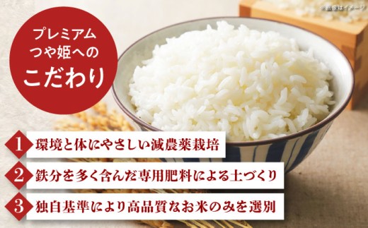 新米 プレミアムつや姫 ブランド 米 島根