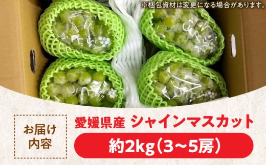 果物 フルーツ ブドウ ぶどう シャインマスカット しゃいんますかっと くだもの 葡萄 夏果物 マスカット 2kg 高級