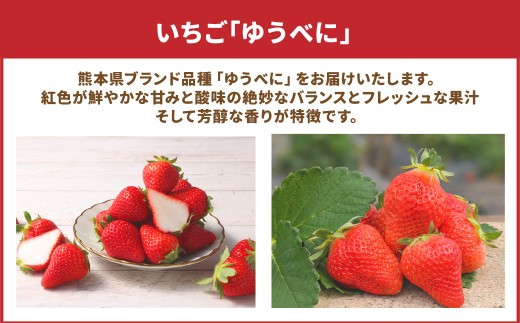 【年5回定期便】熊本県産品くまもとモン（熊本県産品）定期便（フルーツ編）寄附額10万円コース