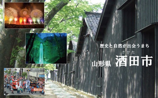 山形県酒田市のふるさと納税 花王バブ 6種詰合せ　各12錠×計6箱 SA2702